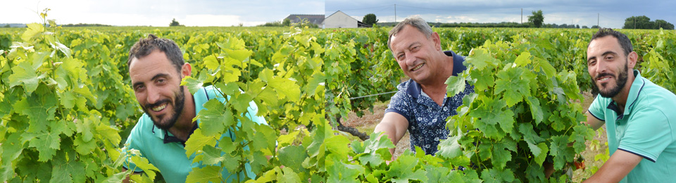 Vignoble Papin - Viticulteur en Maine et Loire